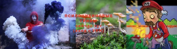 шишки Армянск